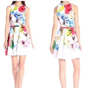 Ted Baker Forget Me Not Floral Print Skater Dress.  Size 0